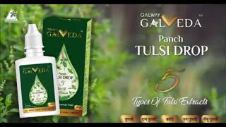 Galway Panch Tulsi Drop - Most solid solution for healthy lifecycle