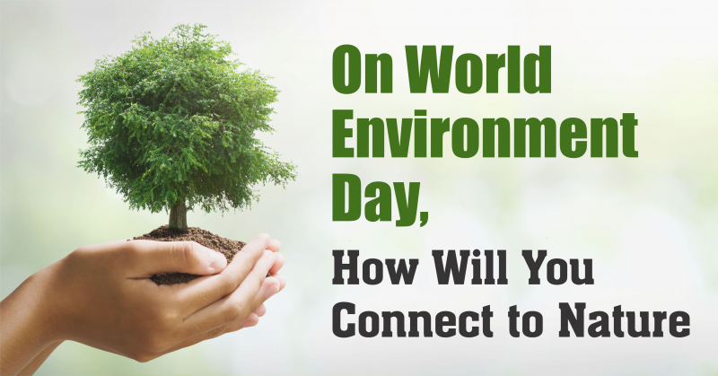 Connect To Nature By Protecting It In Simple Ways