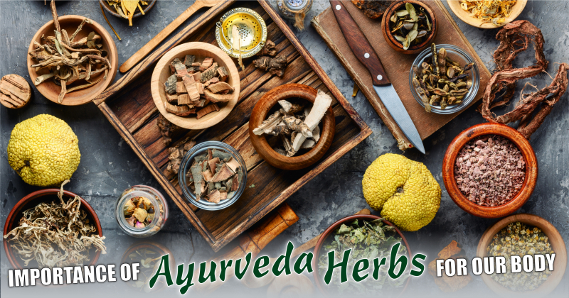 Importance Of Ayurvedic Herbs With Health Benefits