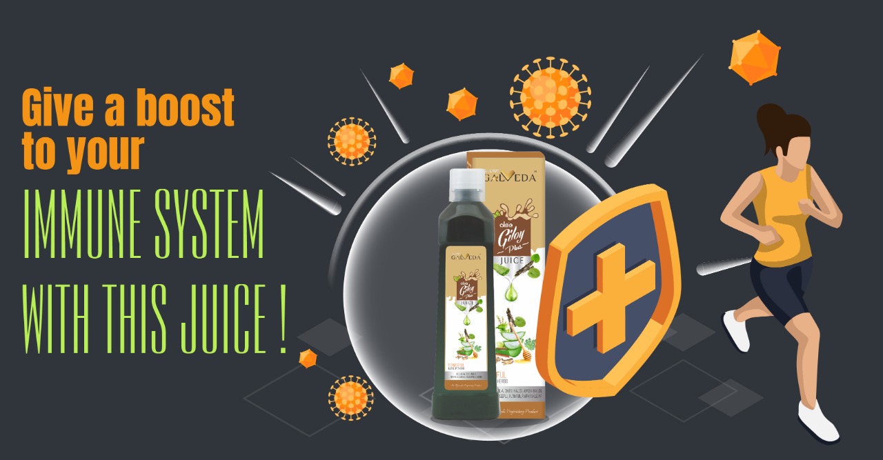 Galveda Aloe Giloy Plus is the Best Immunity-Boosting Juice to Build a Healthy Life!