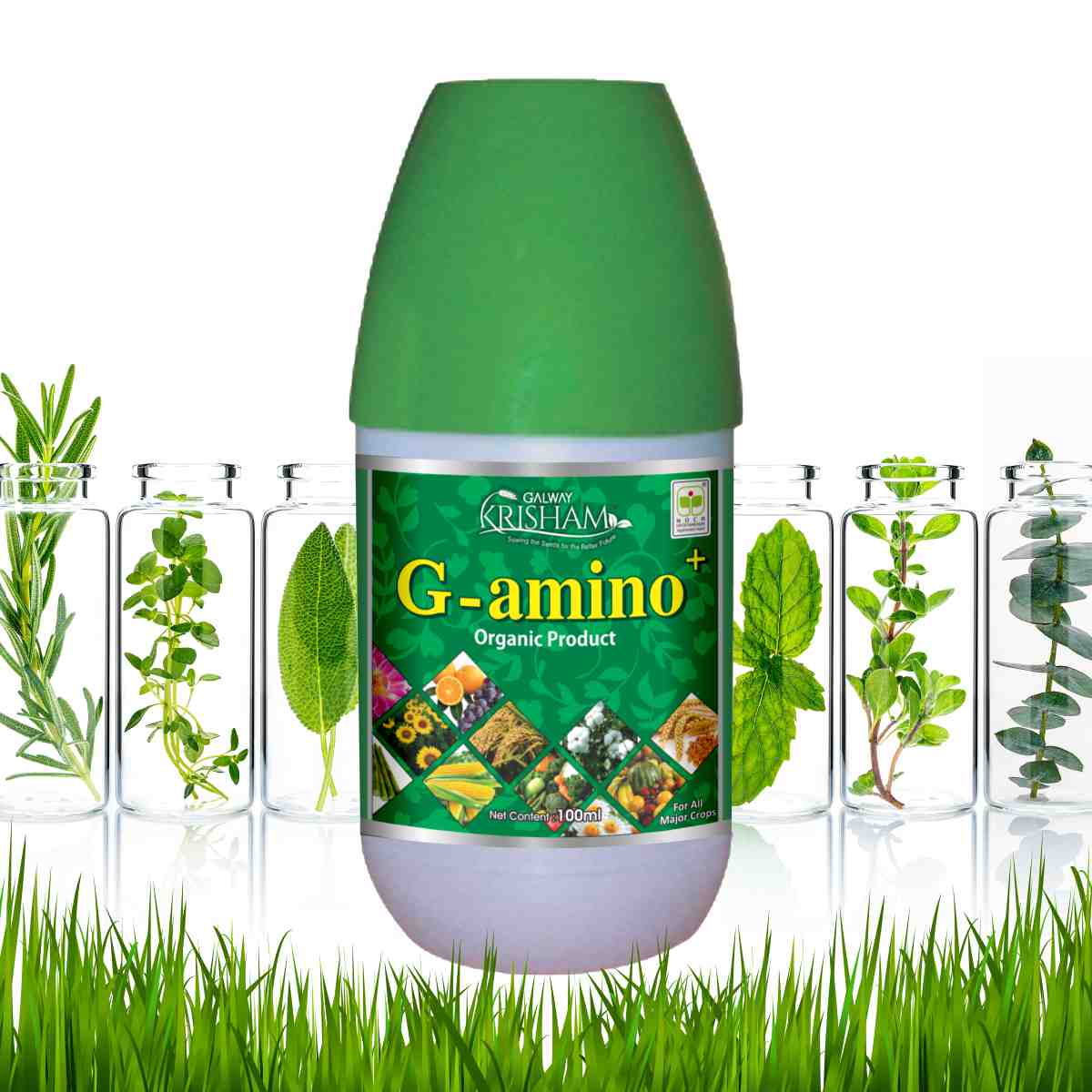 G-Amino +
