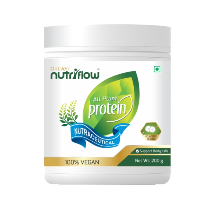 Galway All Plant Protein