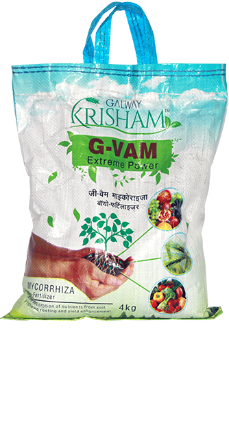 Mycorrhiza-G-VAM-(4KG)