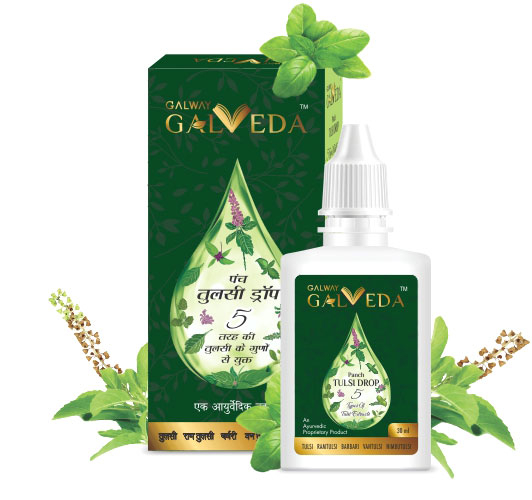Panch Tulsi Drop