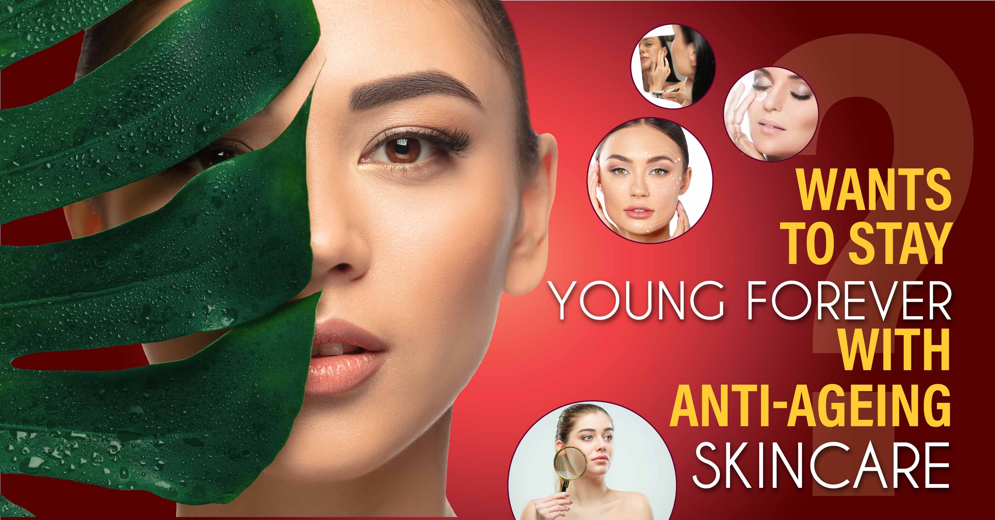 How to buy Best Anti-Aging Creams for Healthy and Youthful Skin