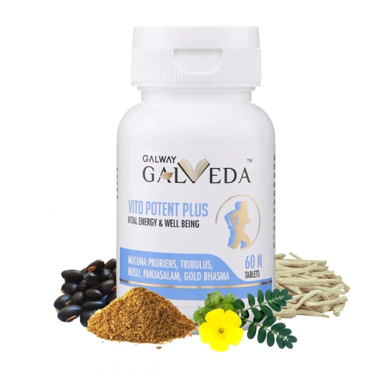 GalVeda - Vito Potent Plus Tablet